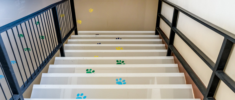 Example of floor stickers