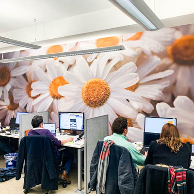 wall art graphic print and install in Hammersmith, London