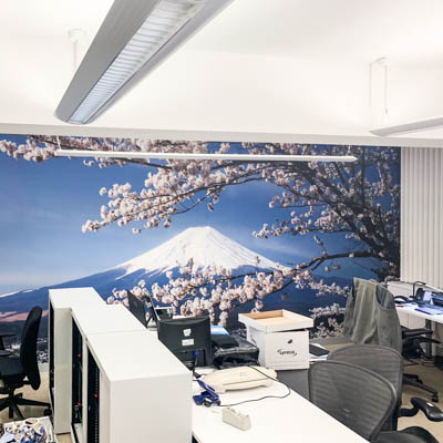 wall art graphic print and install in Hammersmith, London