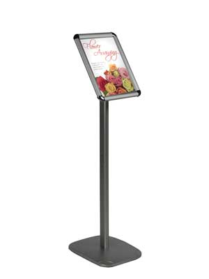 Sentry poster display unit