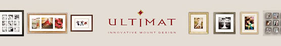 ultimat web banner